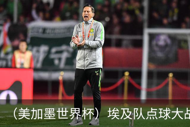 （美加墨世界杯）埃及队点球大战胜澳大利亚队 亚足联队伍全部出局